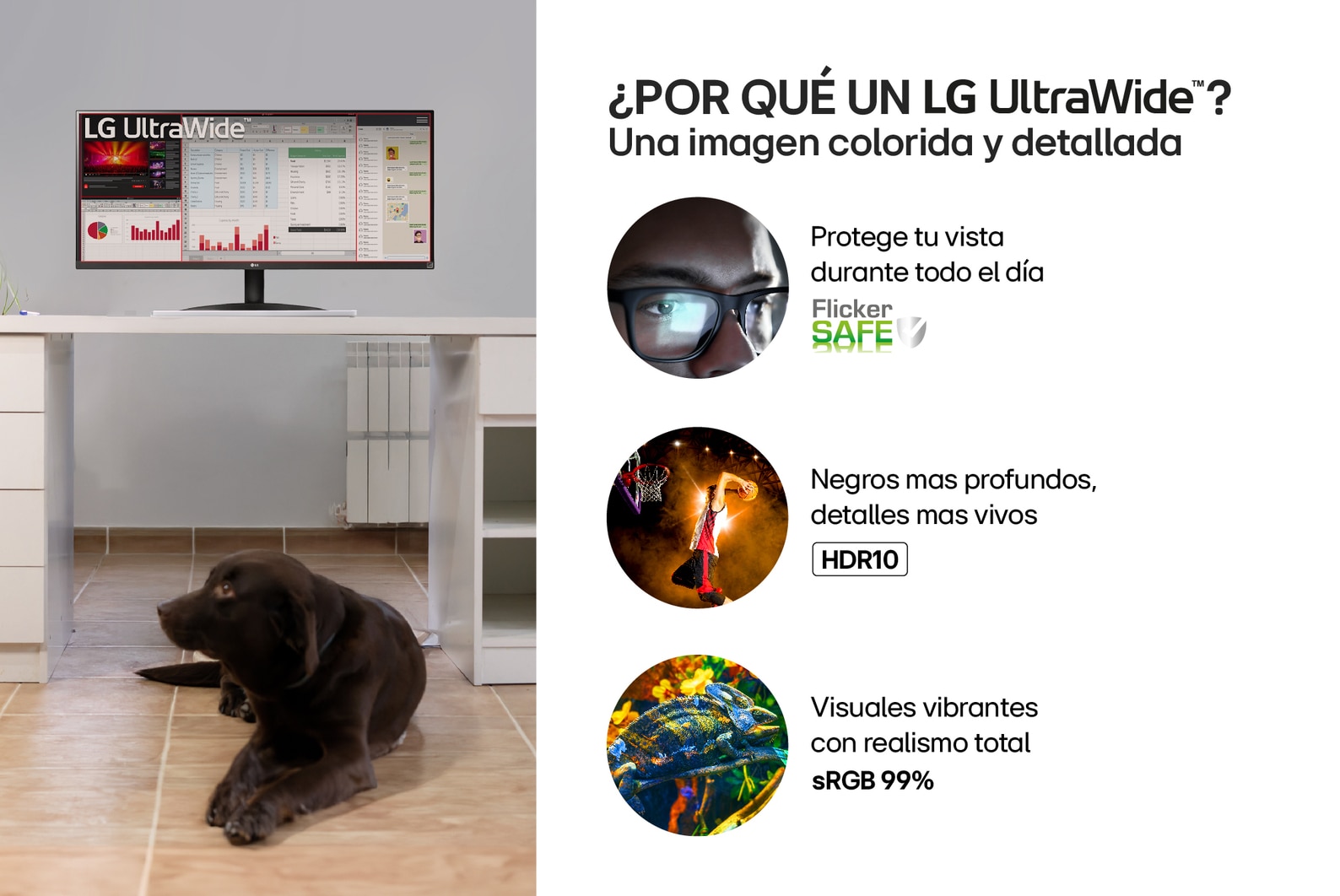 Monitor LG UltraWide 29" WFHD 100Hz